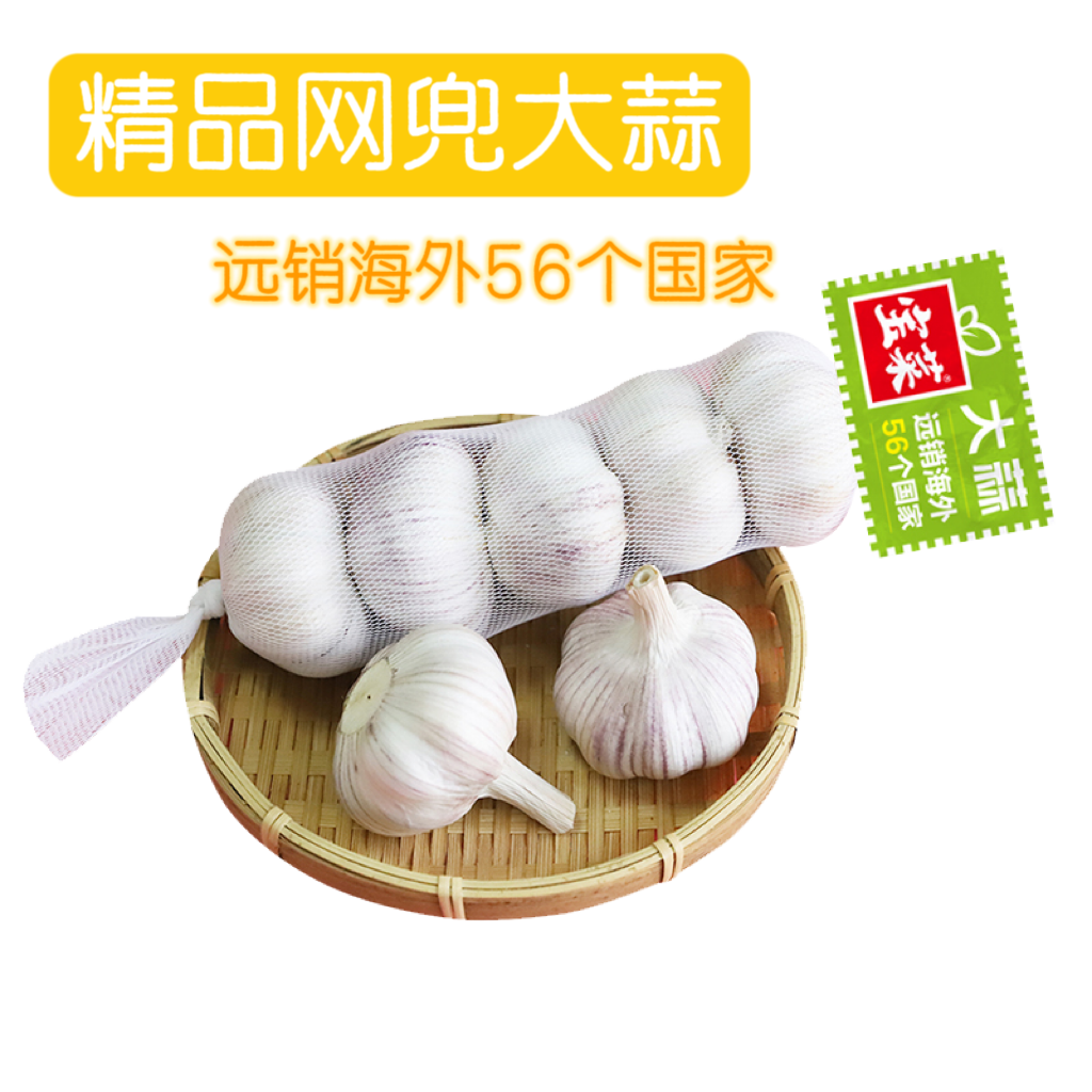 【佳农宝菜】8条金乡大蒜条蒜新鲜大蒜紫皮蒜正宗精品网兜蒜 图片 3