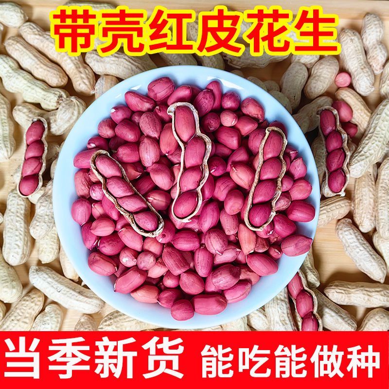红皮花生新货生花生新鲜四粒红花生红衣花生东北带壳花生批发晒干