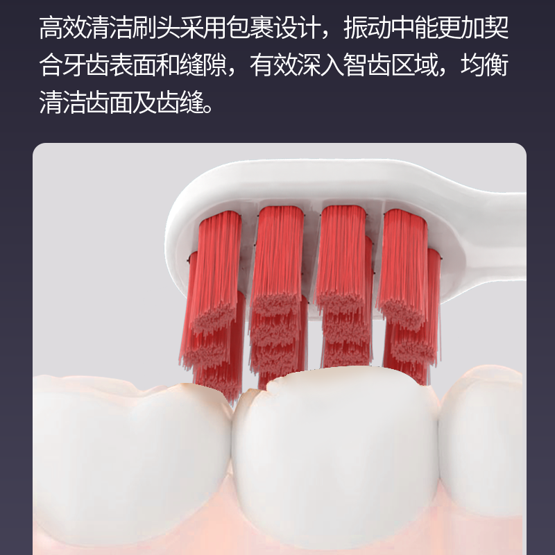替浦斯适配ROAMAN罗曼T40电动牙刷头小心机HT30软毛成人替换头 图片 7