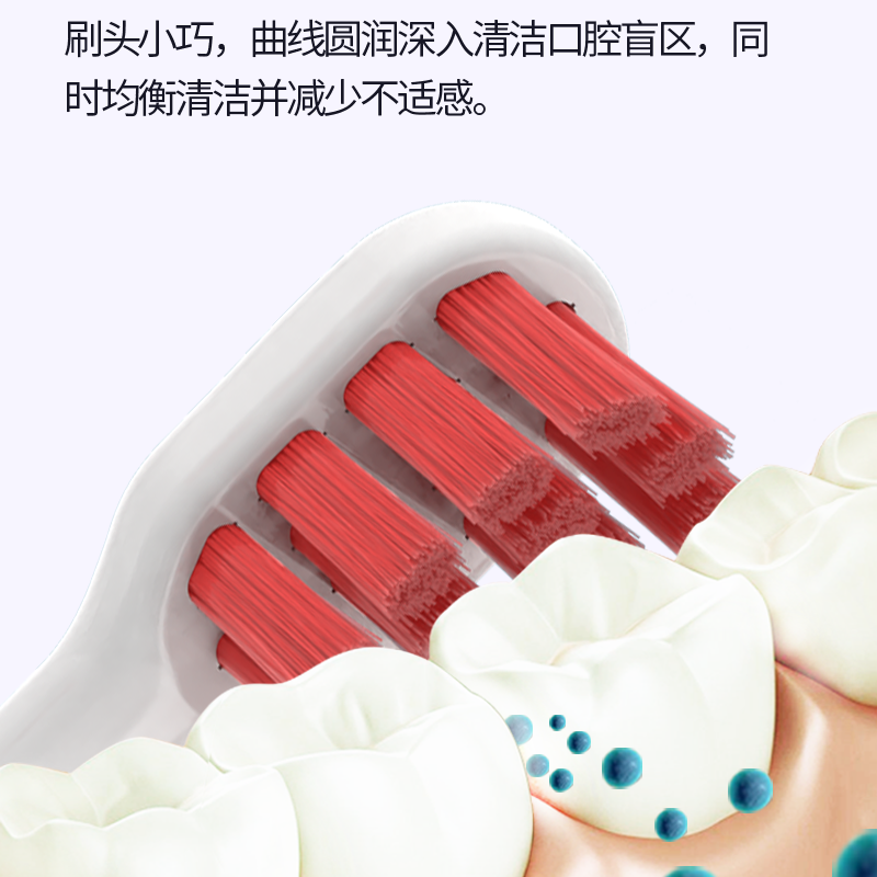 替浦斯适配ROAMAN罗曼T40电动牙刷头小心机HT30软毛成人替换头 图片 5
