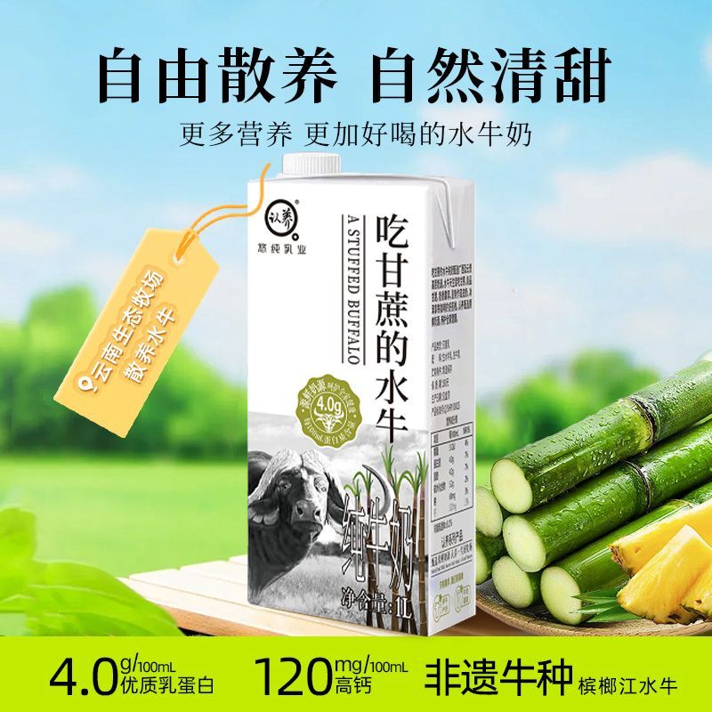 【预售】认养吃甘蔗的水牛奶1L*6盒咖啡奶茶原料