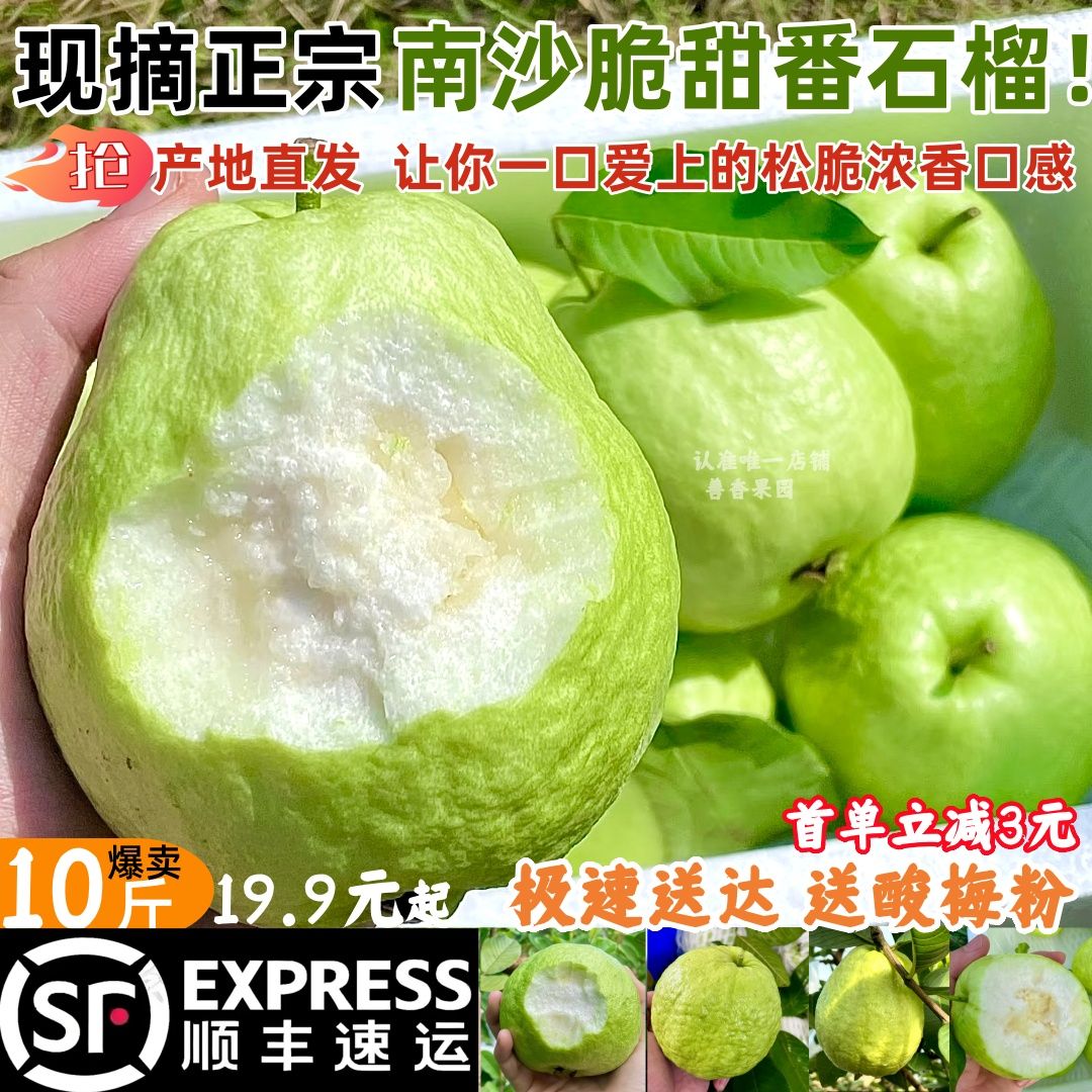 顺丰包邮】十 斤脆甜浓香正宗南沙番石榴白心芭乐水果新鲜低糖