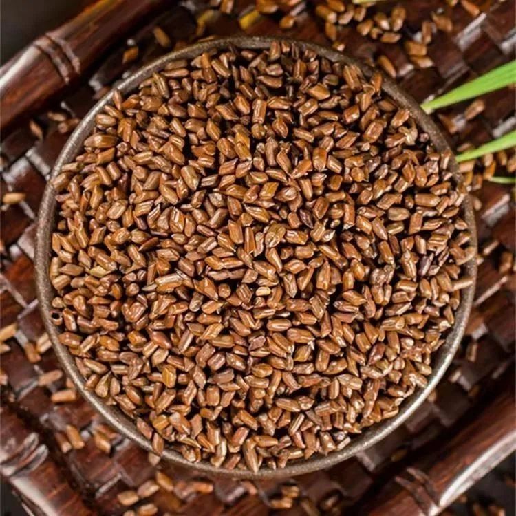 强韵决明子正宗熟决明子罐装纯天然可搭配菊花枸杞滋补经典方