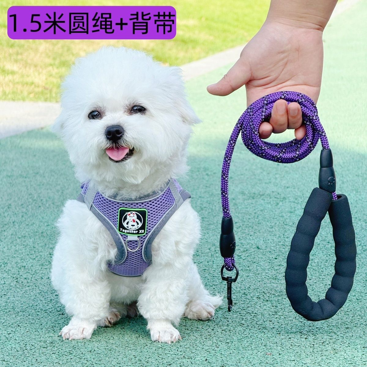 反光透气胸背背心比熊小狗狗牵引绳小型外出遛狗背带链子宠物