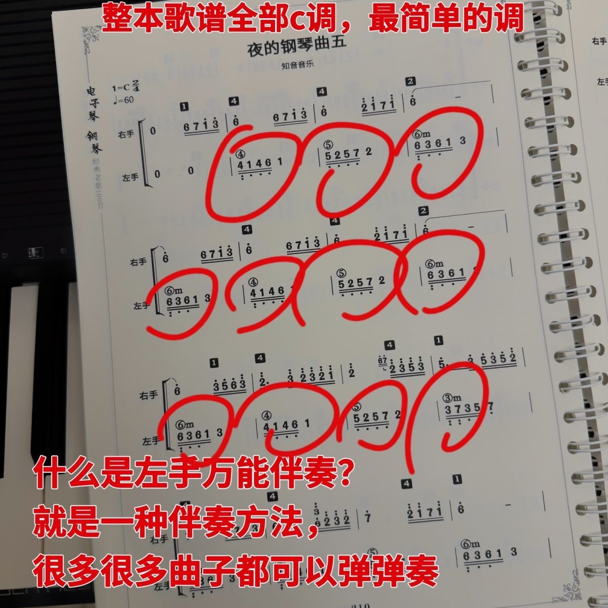 掌管万能的主歌谱