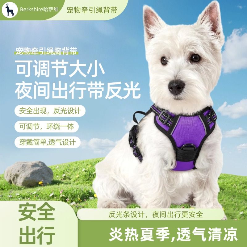 狗狗牵引兔妮牵引带安全可伸缩法斗恶霸边牧斗牛夜行反光尼龙胸背
