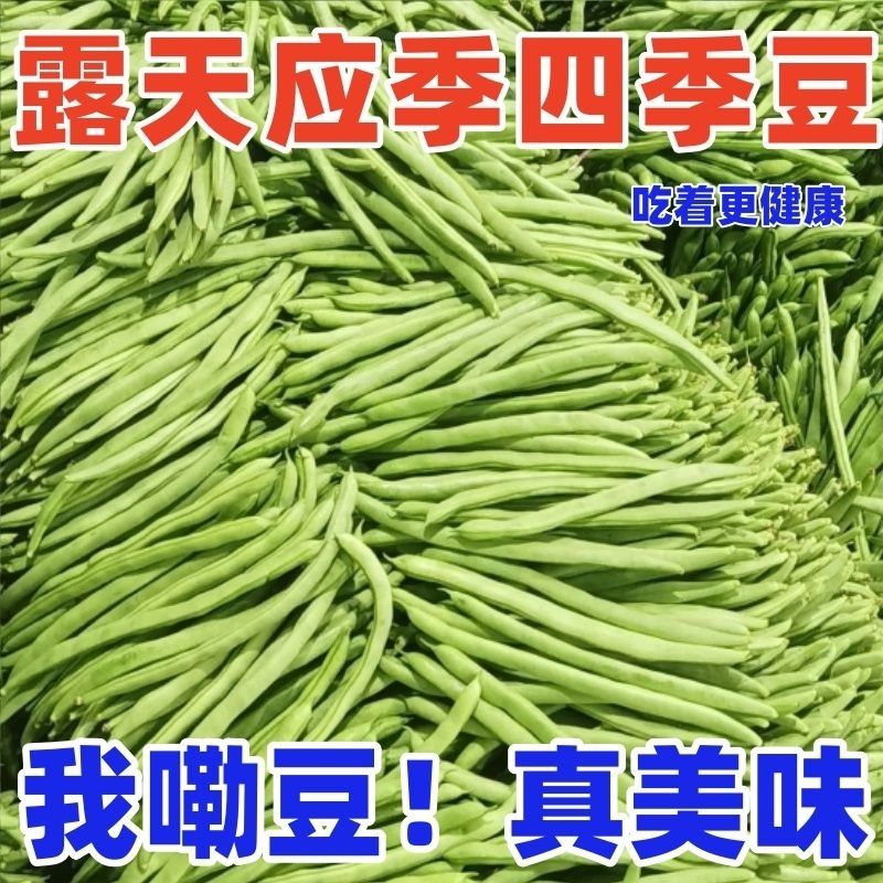 新鲜四季豆小金豆角应季新鲜蔬菜包邮批发非无筋豆扁豆刀豆一点红
