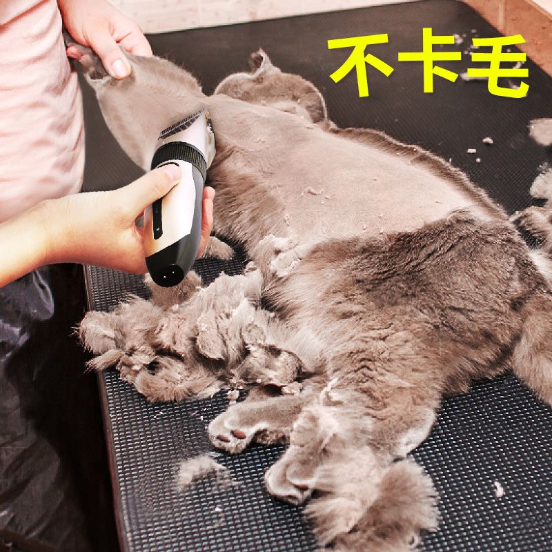 商品缩略图 3