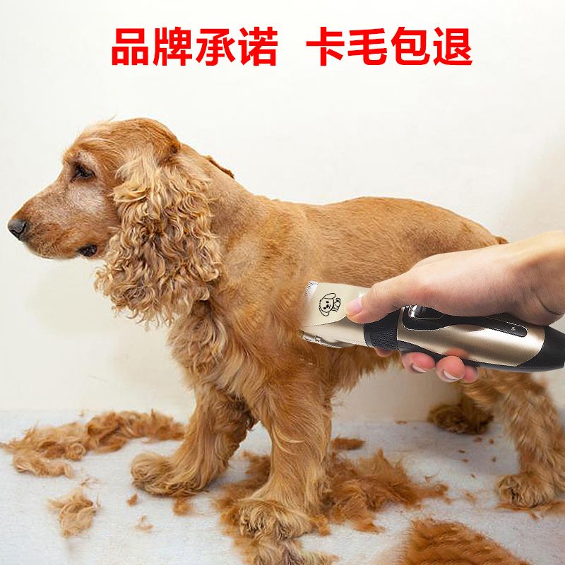商品缩略图 2