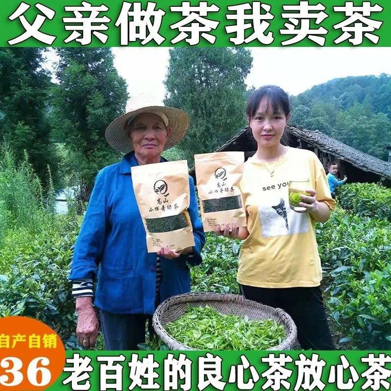 小辉哥绿茶2026新茶500克高山云雾浓香型耐泡散装茶叶批发绿茶