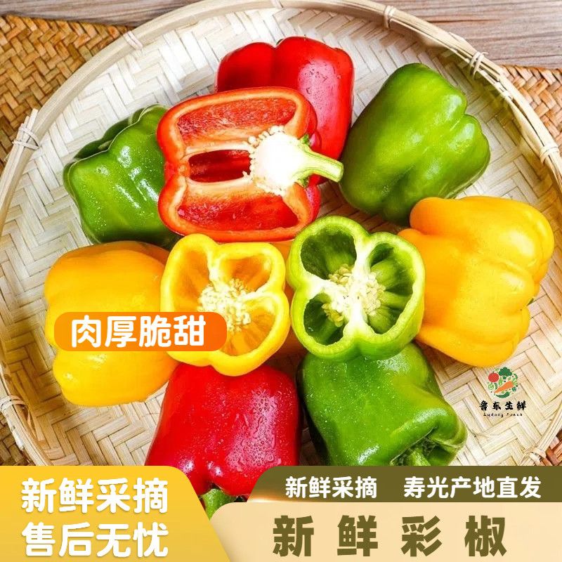 【现摘五彩椒】寿光五彩圆椒辣椒灯笼椒红黄绿水果甜椒蔬菜彩椒