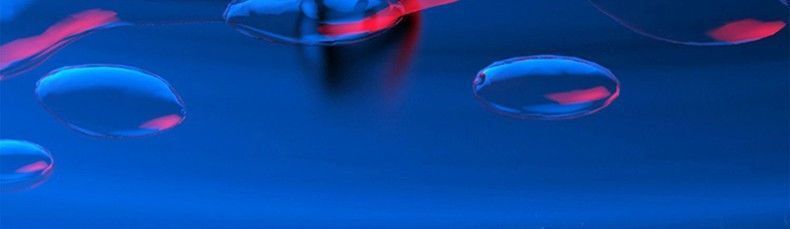 Écouteurs Bluetooth sans fil YD-36, tour de cou sport, longue durée de vie, compatibles avec iPhone, Huawei, Vivo et Android_voghion.com