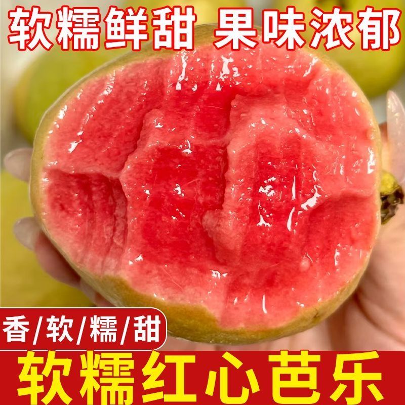 【软糯红心芭乐】广西新鲜水果软心红心芭乐软白番石榴软糯鸡屎果