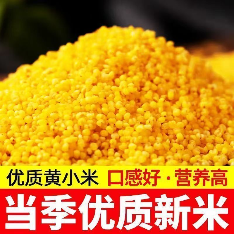 黄小米5袋