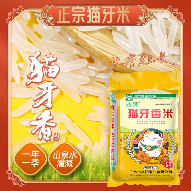 吉耀20斤10斤当季新米丝苗猫牙香大米正宗农家新米5斤长粒香米