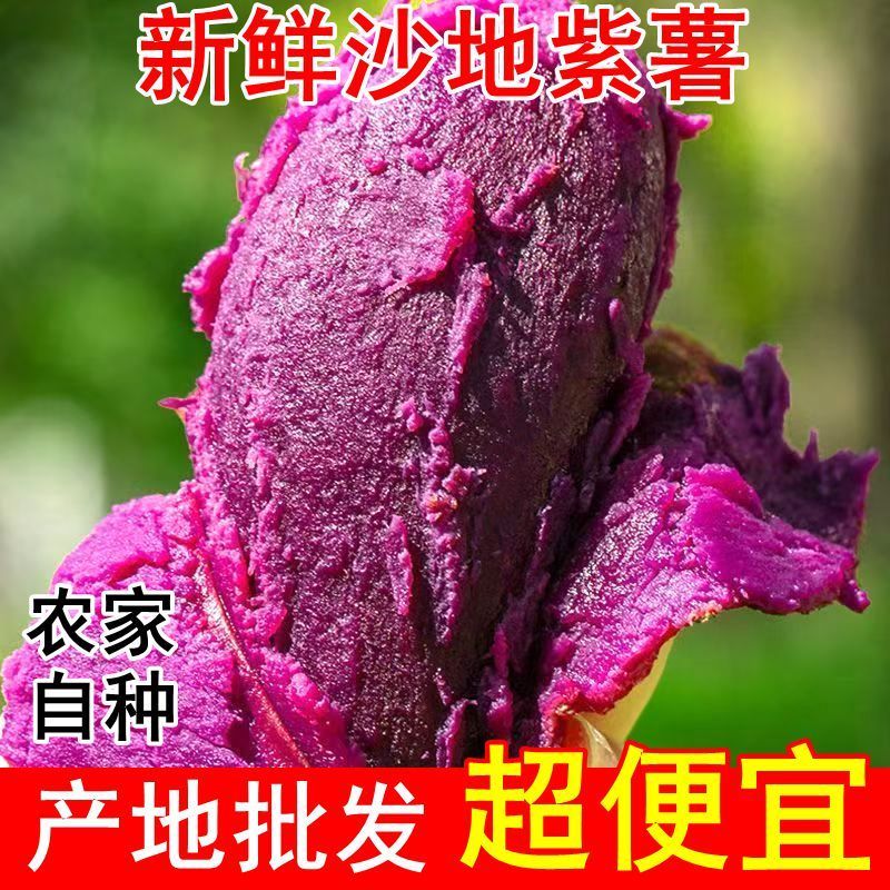 当季紫薯新鲜沙地紫薯番薯粉糯蜜薯紫红薯板栗紫地瓜批发