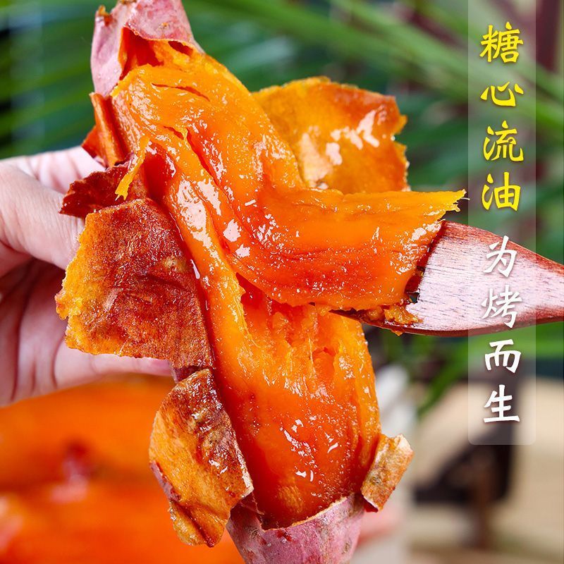 山东烟薯25号蜜薯软糯香甜地瓜番薯红薯山芋烤地瓜糖心流油批发 图片 8