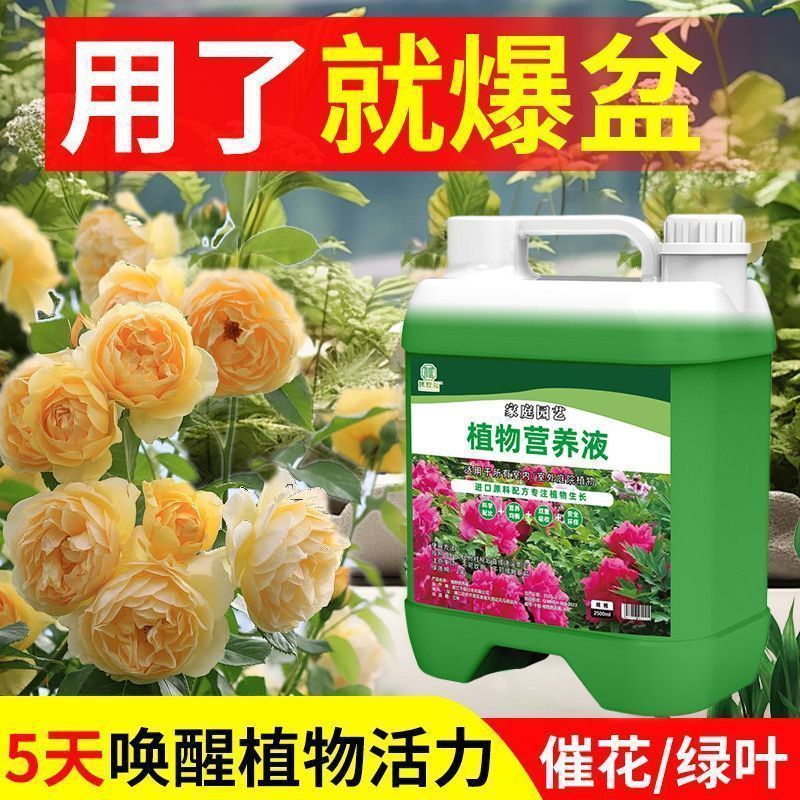 浓缩植物通用营养液花肥发财树绿箩盆栽富贵竹红掌家用花卉洗眉机