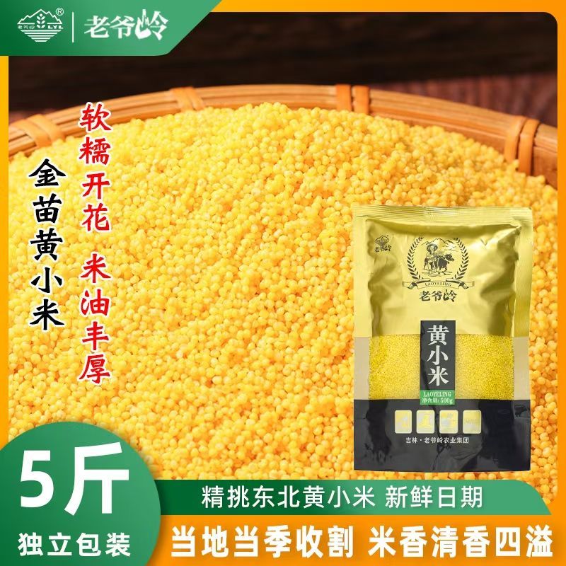 老爷岭黄小米5斤2斤正宗东北金苗2025新小米鲜黍米小米营养早餐粥