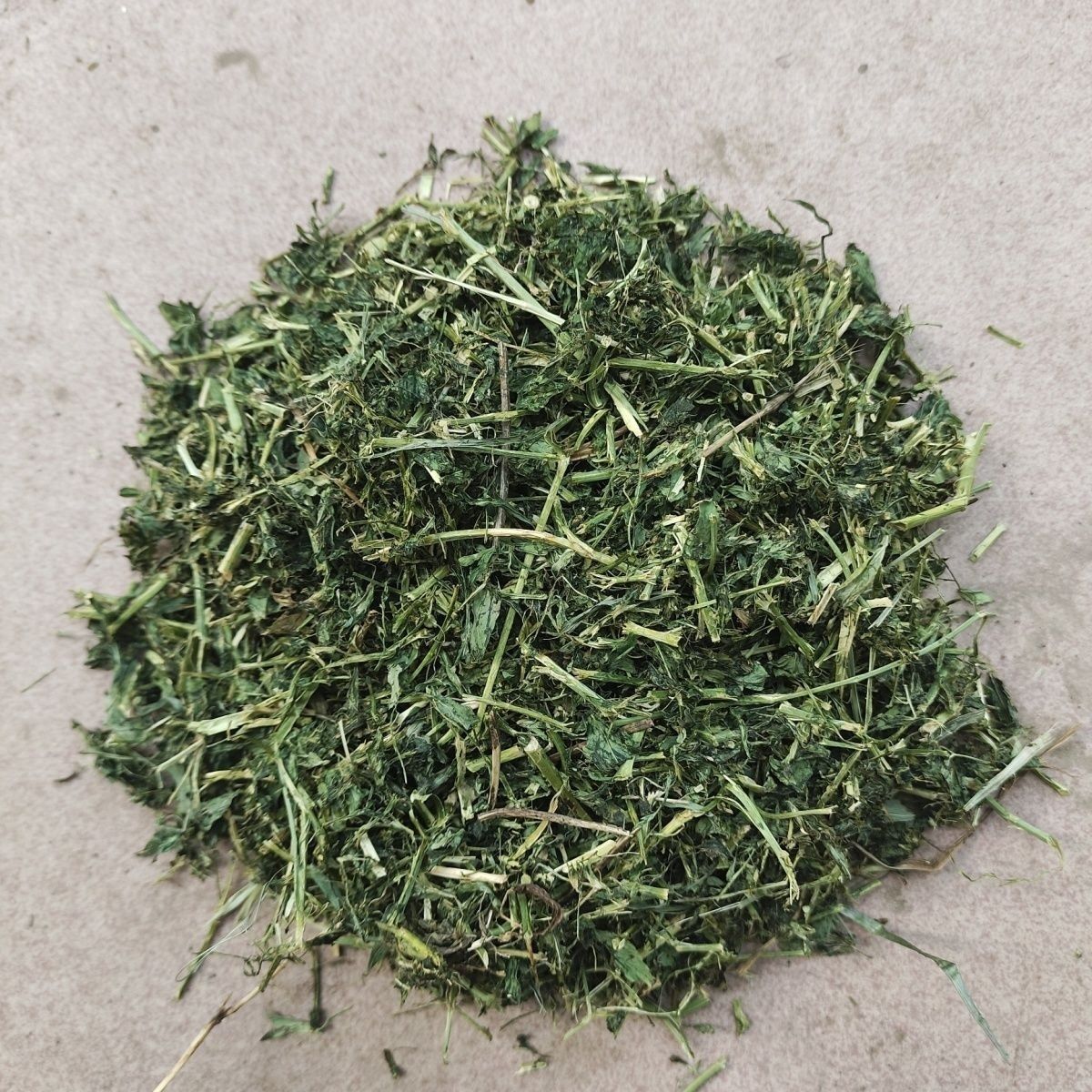 新鲜高蛋白紫花苜蓿烘干干草碎兔兔幼兔主食龙猫兔子幼龄主食干草