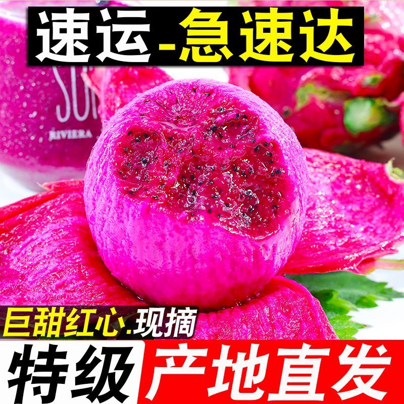 产地直发红心火龙果新鲜现摘超甜红肉正宗金都一号应季水果批发