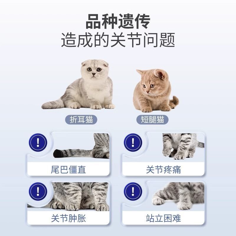 MAG鲨鱼软骨素狗狗宠物补钙狗狗健骨关节宝折耳猫可用 图片 7