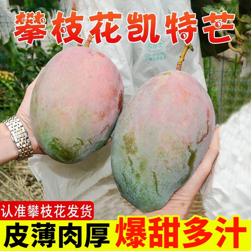 批发价攀枝花凯特大芒果批发青皮芒新鲜应季孕妇水果整箱6月25日发完
