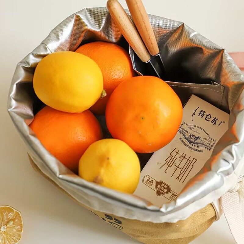 加厚帆布保温袋上班族便携饭盒袋学生带饭专用大容量密封餐盒袋子