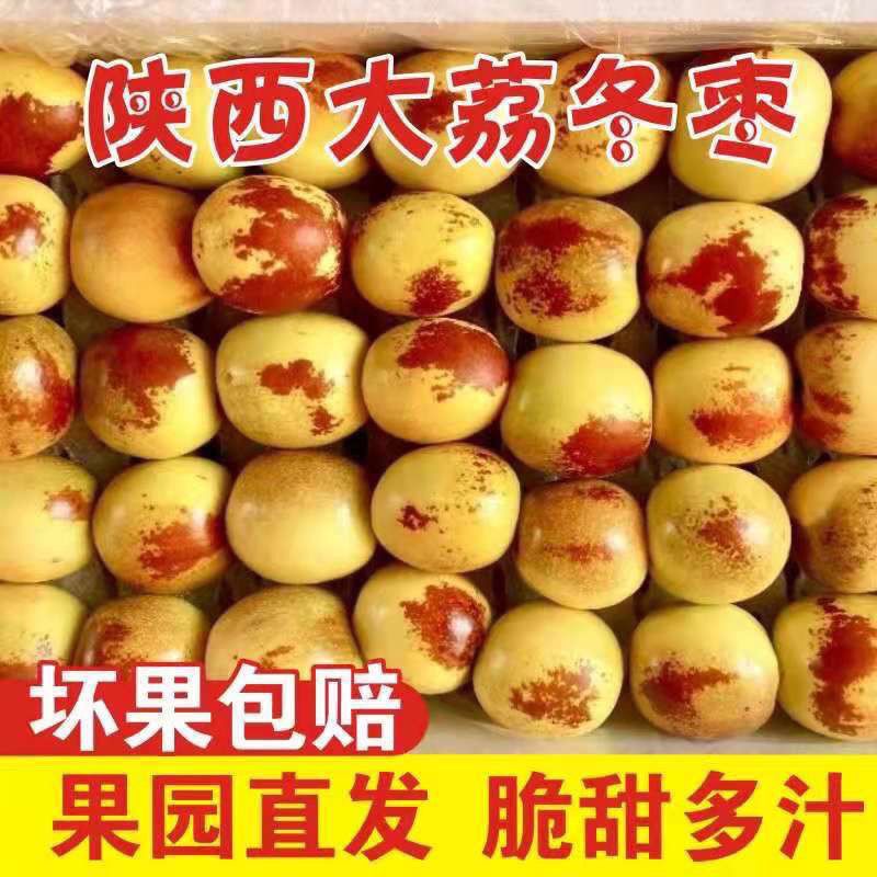 【爆甜】正宗大荔冬枣现摘脆冬枣新鲜应季水果冰糖冬枣2斤批发价