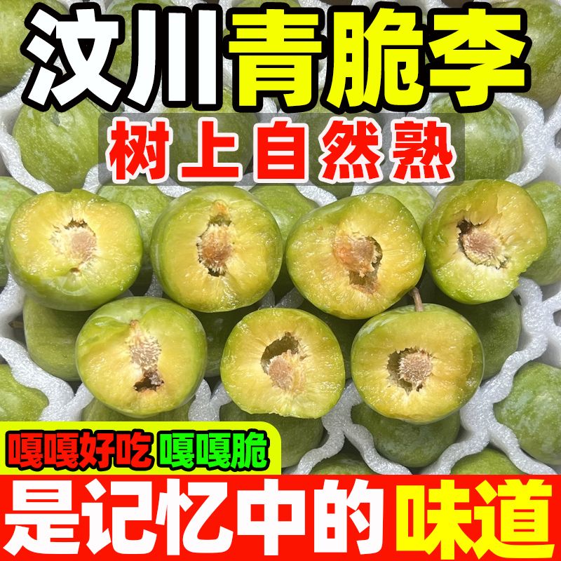 正宗脱骨李青脆李四川汶川空心巫山土李子孕妇水果蜂糖味冰糖李【6月20日发完】 图片 4