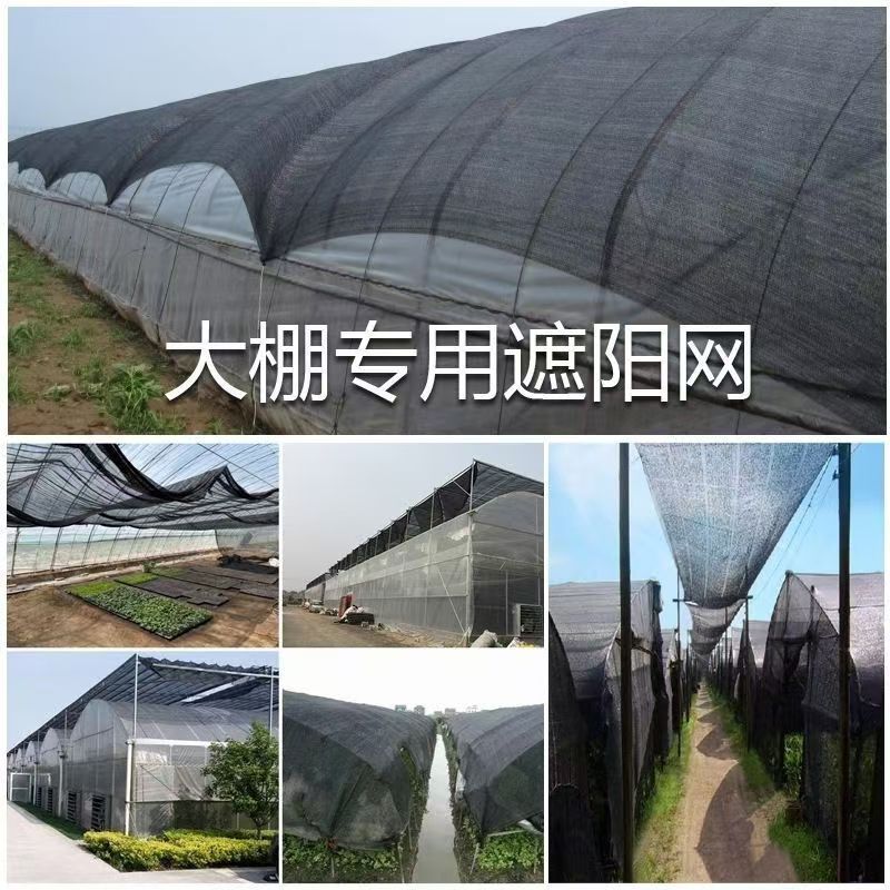 黑色遮阳网加密加厚防晒网农用大棚庭院遮阴隔热网家用户外防老化 图片 7