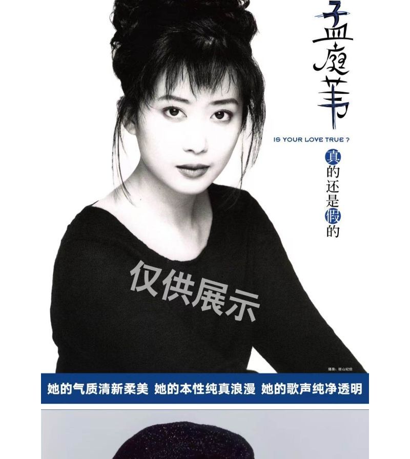官方正版孟庭葦專輯真的還是假的限定版白膠LP 個人錄音室專輯- 0722