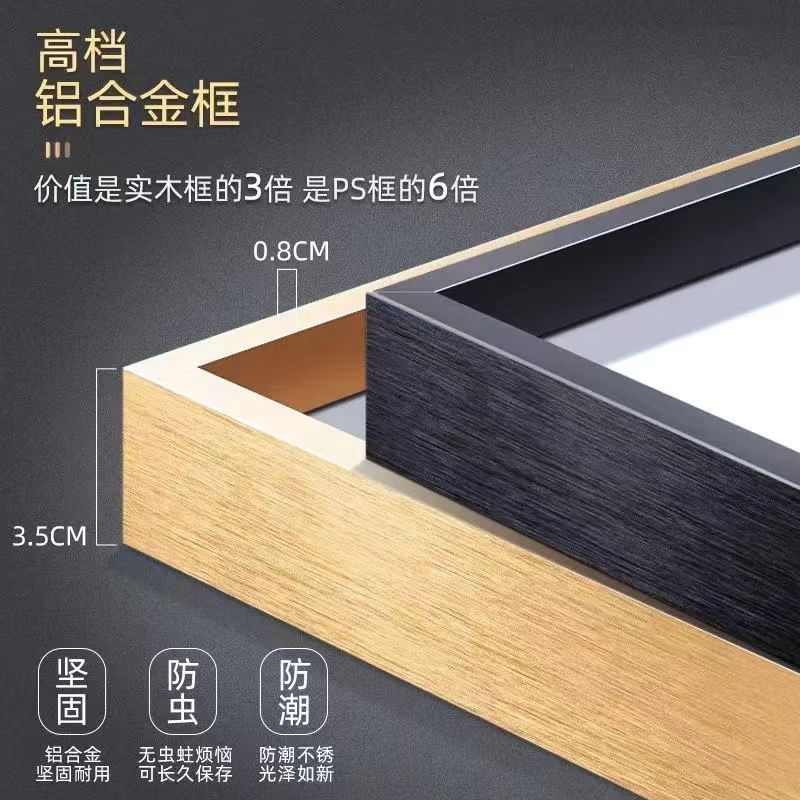 南海观音菩萨画像光世音佛系风挂画白衣观音玄关佛堂神相字画佛像 5