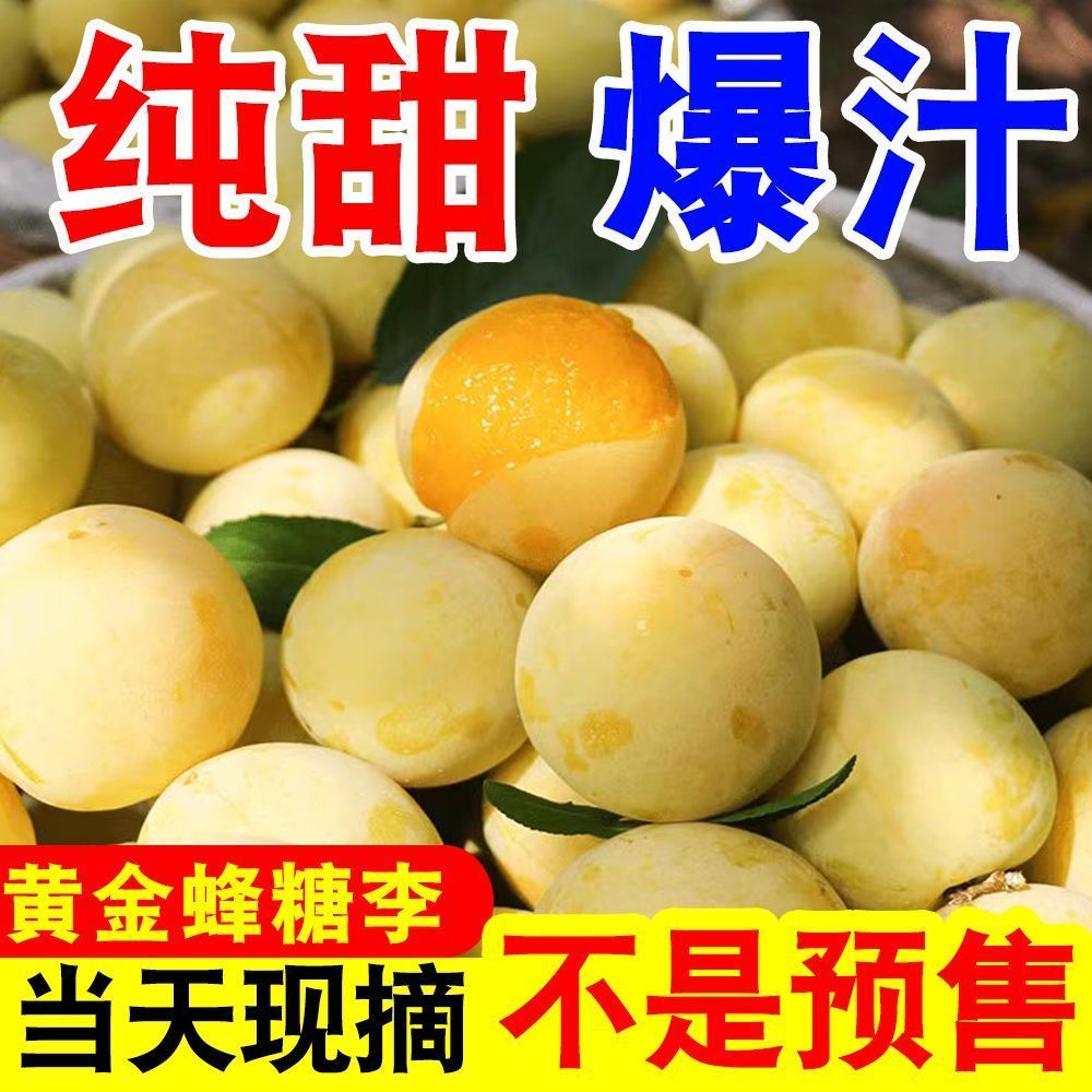 正宗四川黄金蜂糖李冰糖李蜂蜜李当季新鲜水果脆甜李子纯甜桃花李 图片 7