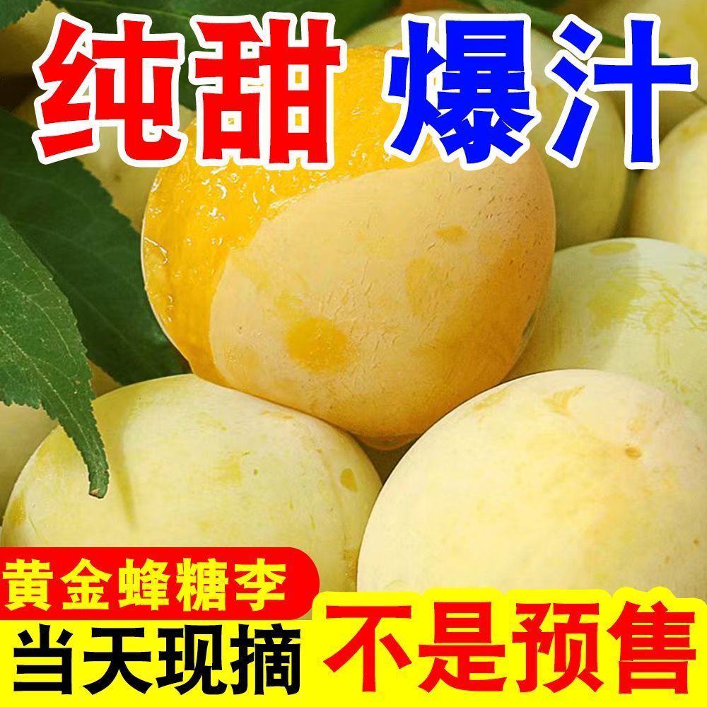 正宗四川黄金蜂糖李冰糖李蜂蜜李当季新鲜水果脆甜李子纯甜桃花李 图片 9