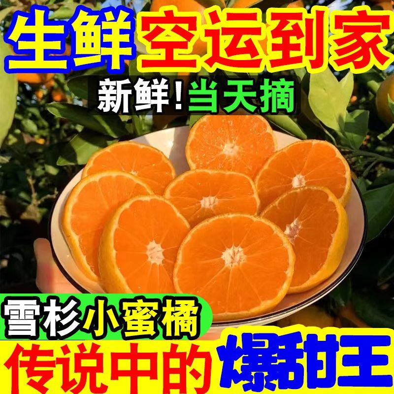 【爆甜】现摘雪杉小蜜桔超甜薄皮砂糖橘子当季新鲜水果沙糖桔子 图片 3