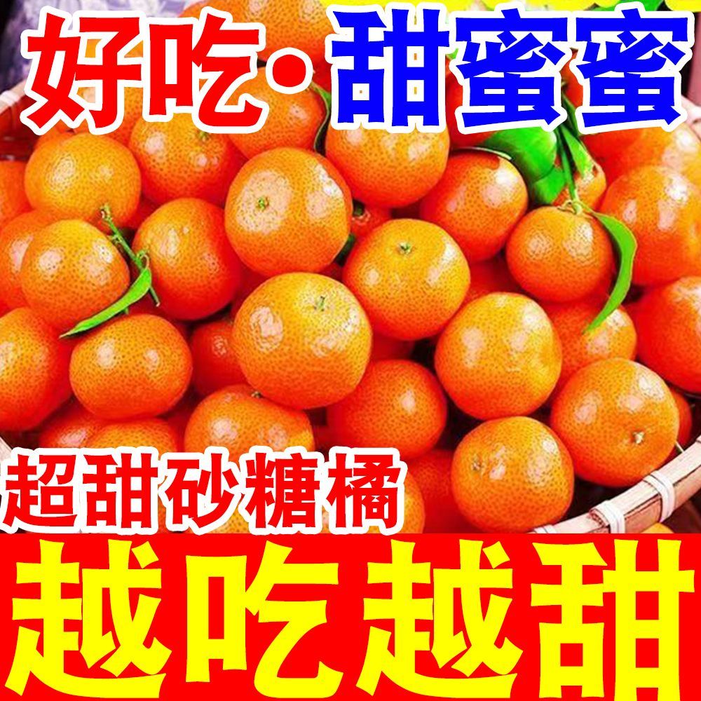 爆甜广西金秋砂糖橘当季新鲜水果沙糖桔子薄皮蜜桔蜜橘子整箱
