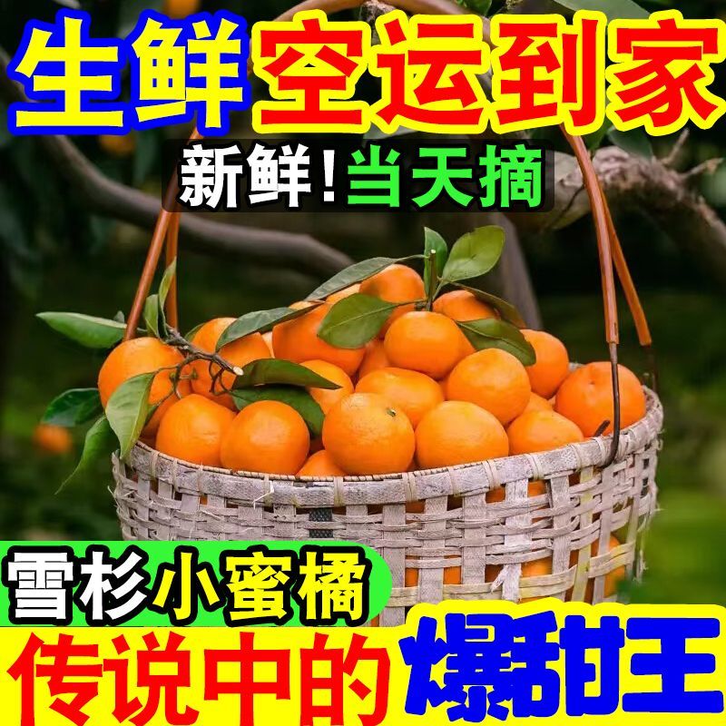 【爆甜】现摘雪杉小蜜桔超甜薄皮砂糖橘子当季新鲜水果沙糖桔子 图片 2