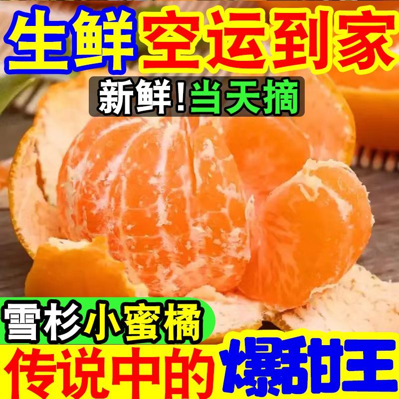 【爆甜】现摘雪杉小蜜桔超甜薄皮砂糖橘子当季新鲜水果沙糖桔子 图片 4