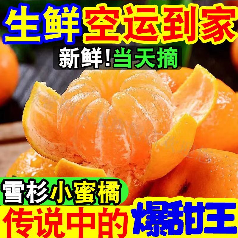 【爆甜】现摘雪杉小蜜桔超甜薄皮砂糖橘子当季新鲜水果沙糖桔子 图片 5