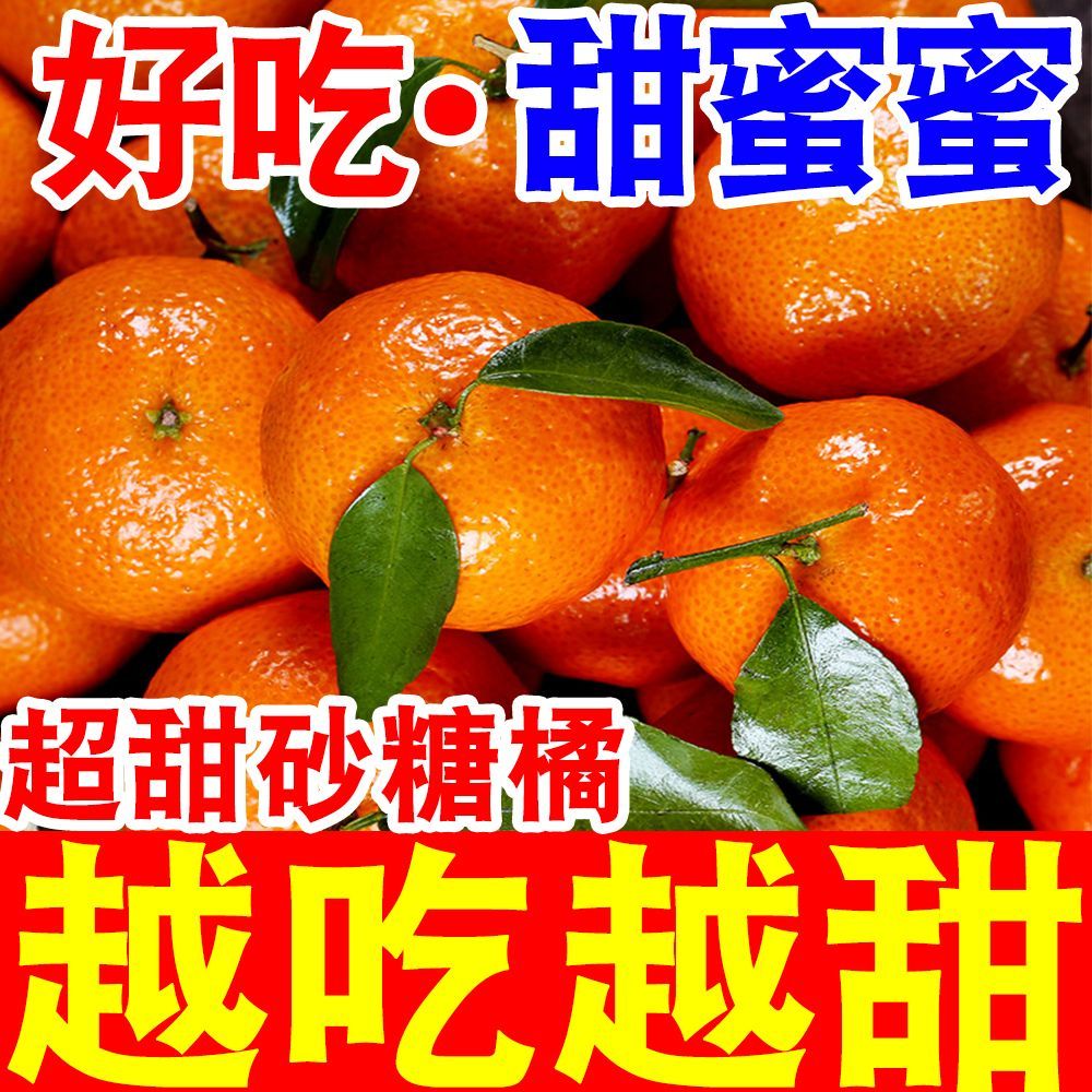 爆甜广西金秋砂糖橘当季新鲜水果沙糖桔子薄皮蜜桔蜜橘子整箱