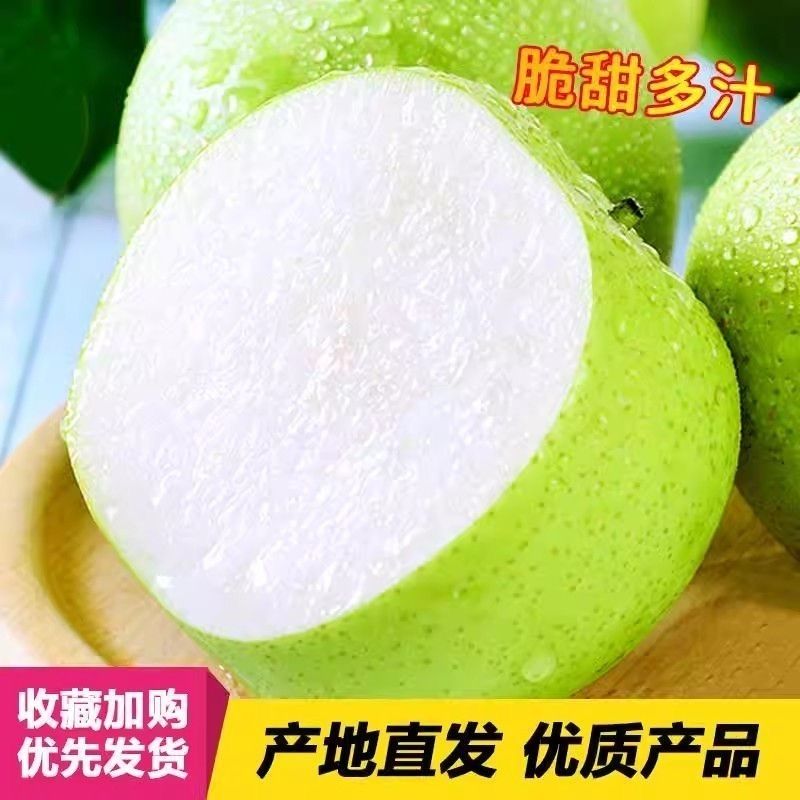 现摘头茬青皮梨5斤中果 16.9元 - 线报酷