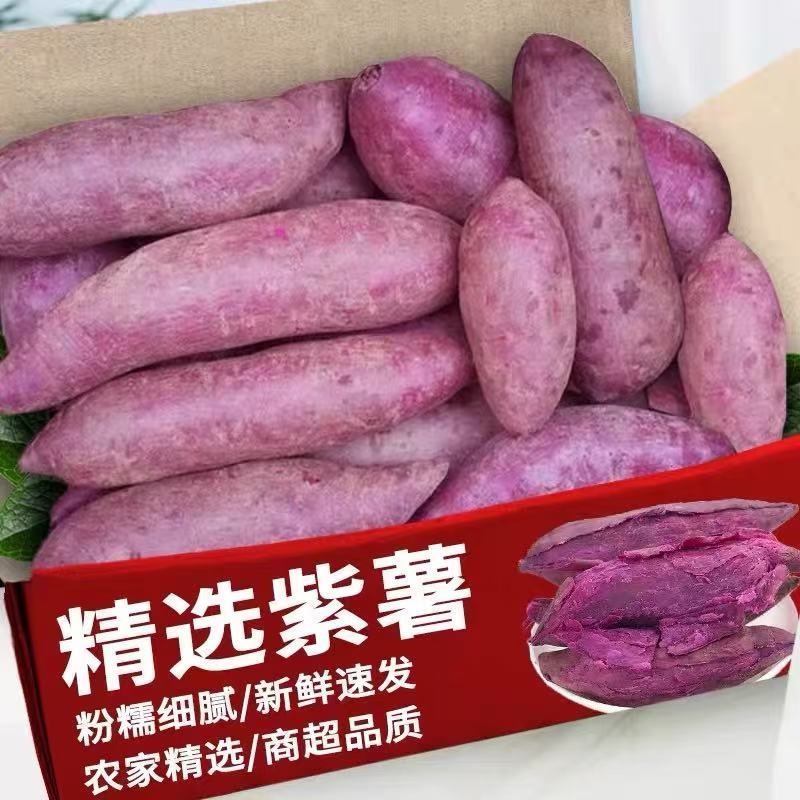 5斤紫薯新鲜板栗红薯番薯地瓜蜜薯溏心山芋烟薯香薯蔬菜农家自种