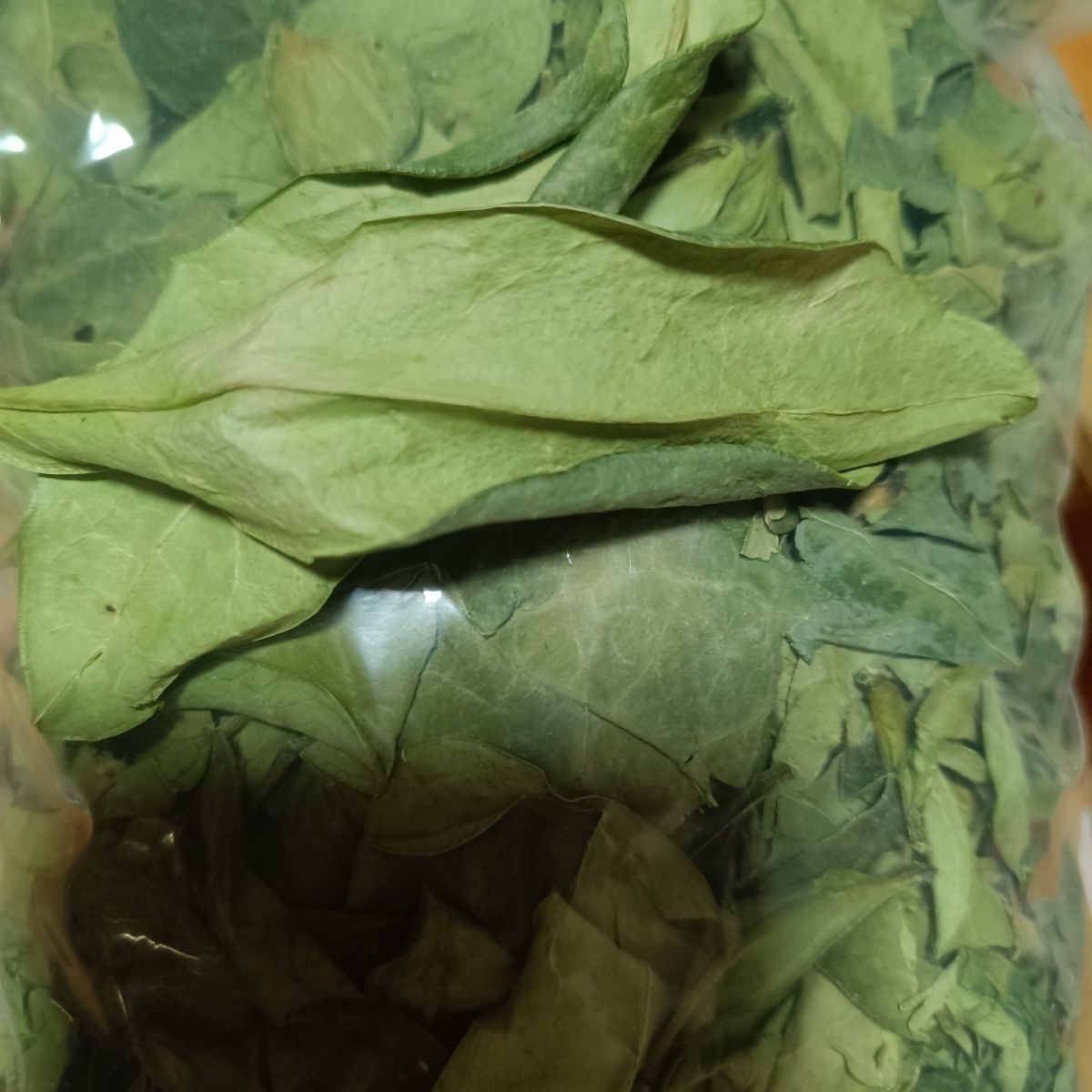 龙利叶2025新晒干货煲汤煮水清香品质好实物如图