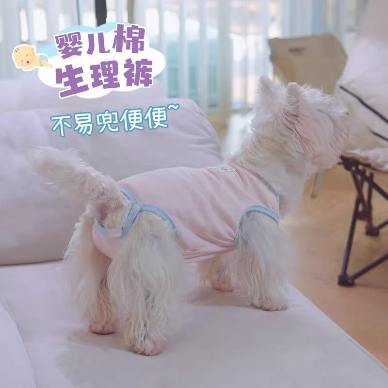 宠物夏季薄款泰迪比熊小型犬狗狗生理期安全裤
