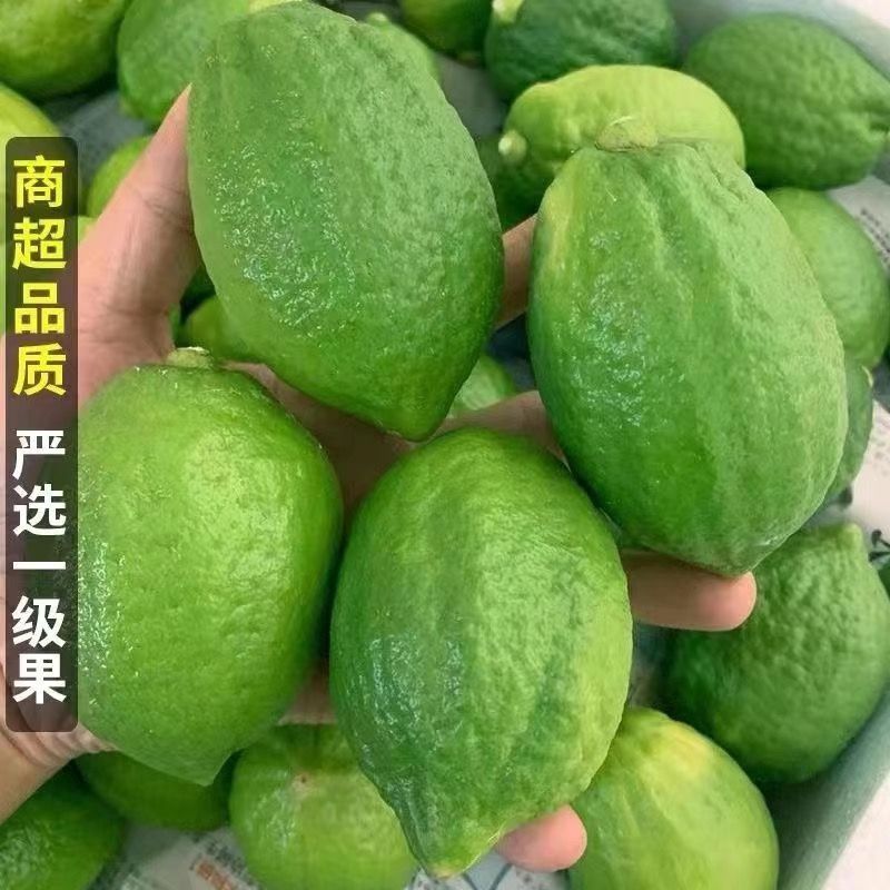 香水柠檬爆香鲜果无籽奶茶店新鲜柠檬当季鲜果的爆香大果绿色批发