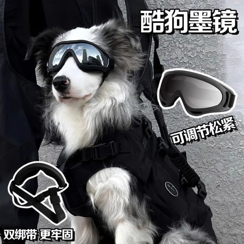 狗狗墨镜防紫外线护目镜宠物眼镜防风镜金毛柯基中小型犬户外骑行