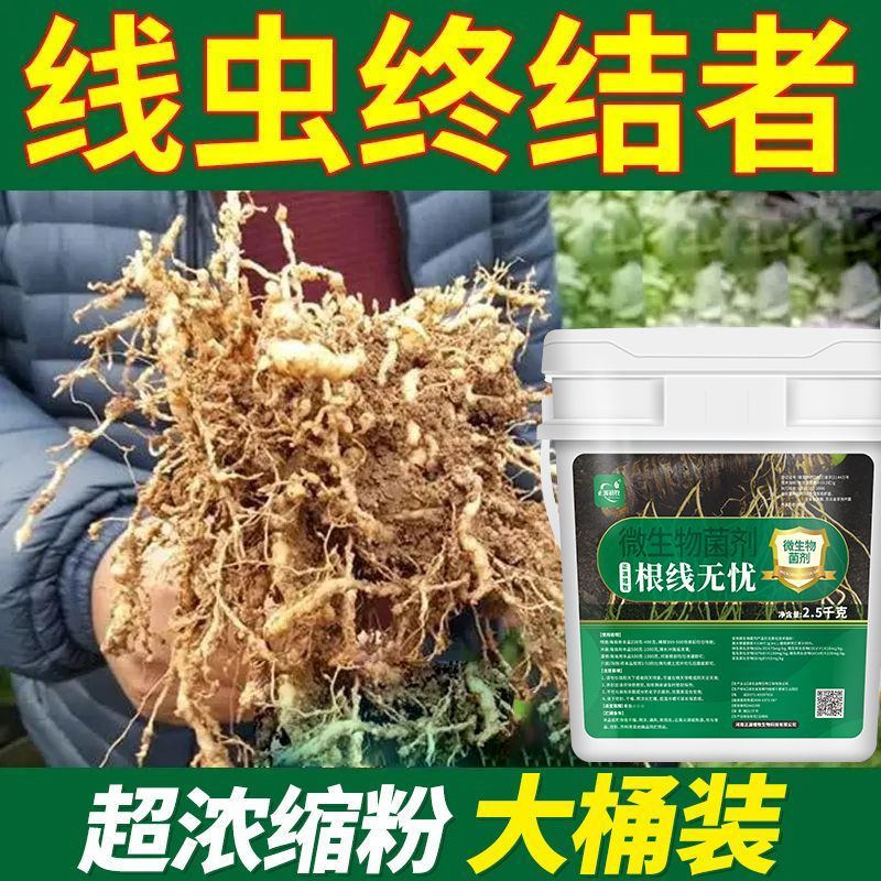 根结线虫正品淡紫紫孢菌黄瓜西瓜柑橘小麦水稻大棚辣椒线虫冲施肥