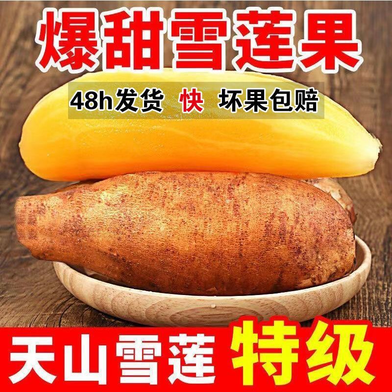 云南雪莲果新鲜水果当季时令现挖脆甜整箱脆甜多汁多规格现货包邮