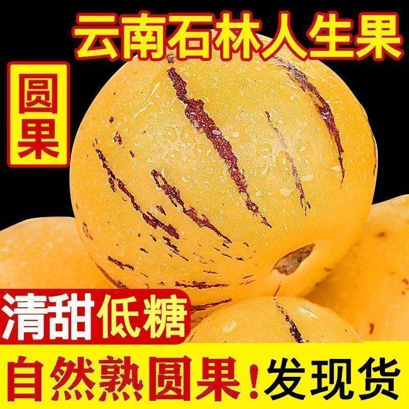 人参果场地直销云南石林低糖黄心圆果树上熟优质鲜果清甜多汁